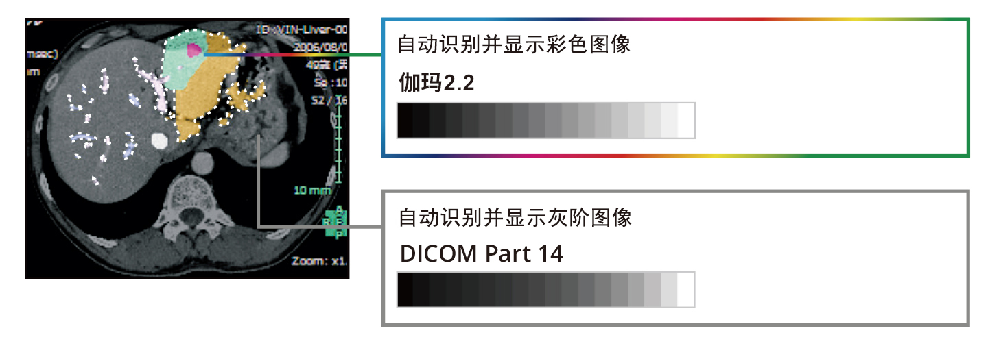 Hybrid Display of Monochrome and Color