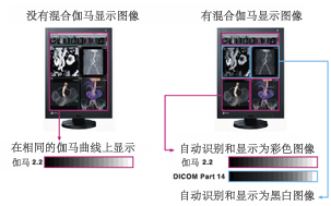 Color and Monochrome Images with Separate Gamma Curves