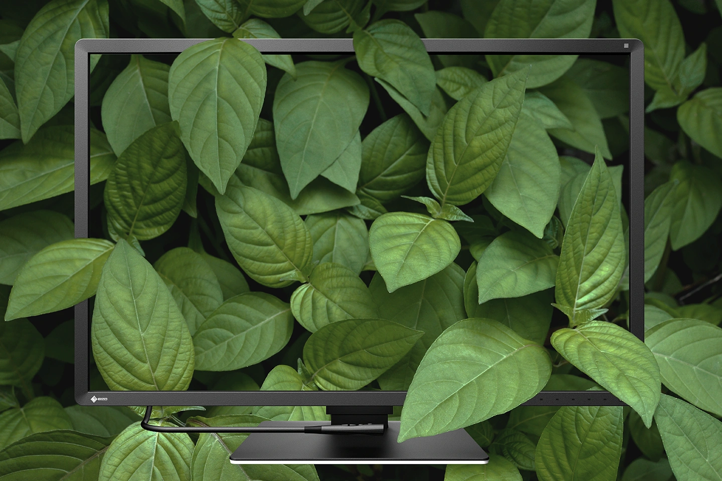 产品的可持续性